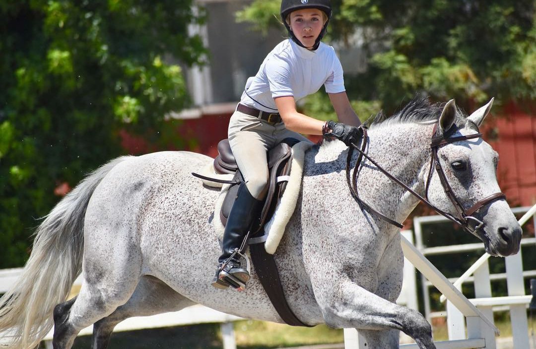 Meet some of the Horses: Profiles of Our Academy Stars