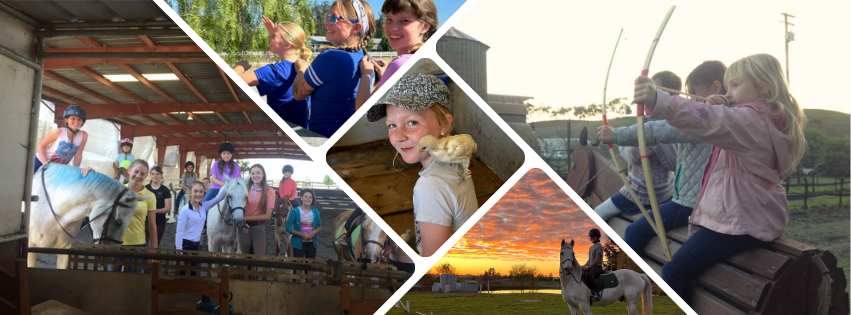 Growing Together: How Summer Camp Adventures Foster Lifelong Friendships and Confidence at Strides Riding Academy
