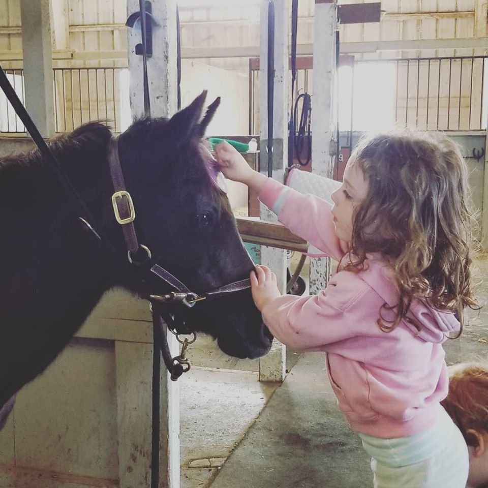 DIY Horse Care: What Kids Learn at Camp That They Can Use at Home