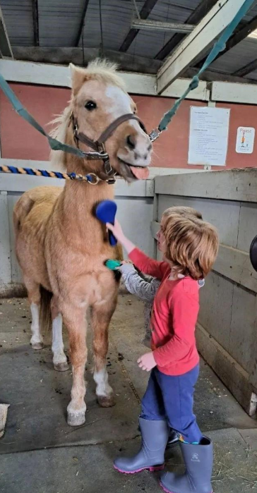 Beyond the Saddle: The Wildest, Most Unforgettable Games & Activities at Summer Camp!