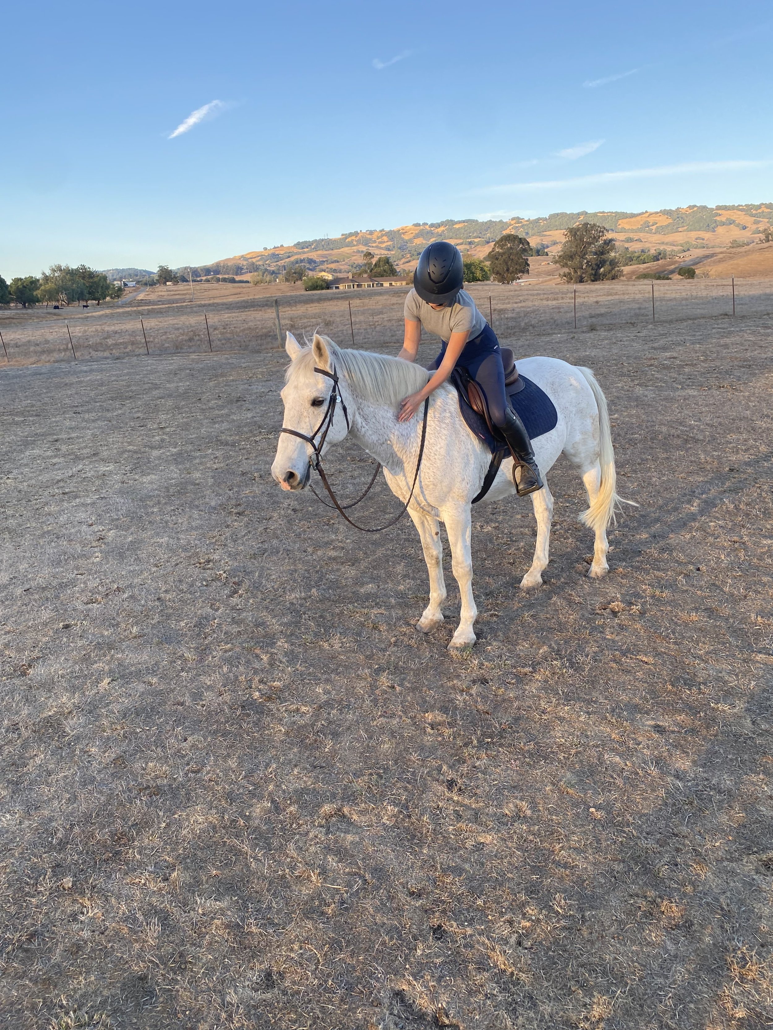 Ride Strong: Fun & Easy Fitness Tips for Equestrians of All Ages!