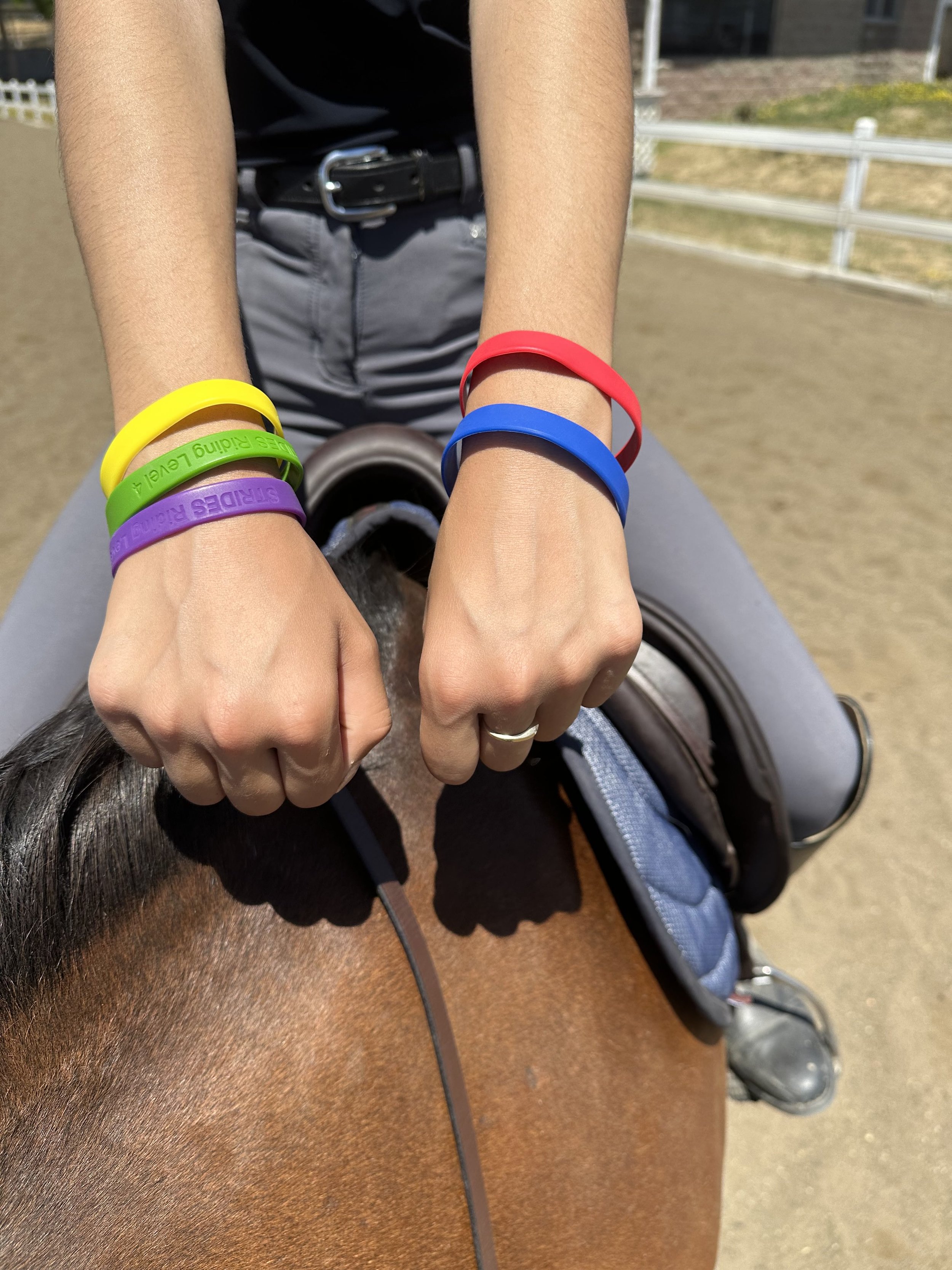 The Unwritten Rules of Horseback Riding (That No One Tells You)