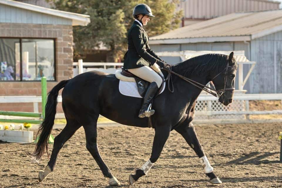  Saddle Up, Santa Rosa! Why Strides Riding Academy Is Your New Favorite Place to Ride