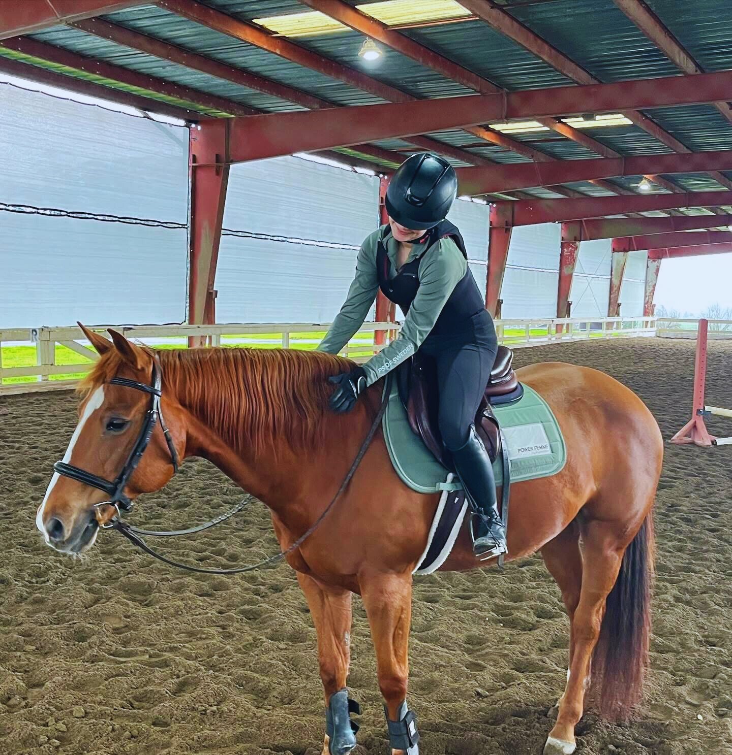  Meet Your New Happy Place: Horseback Riding Lessons Now in Santa Rosa!