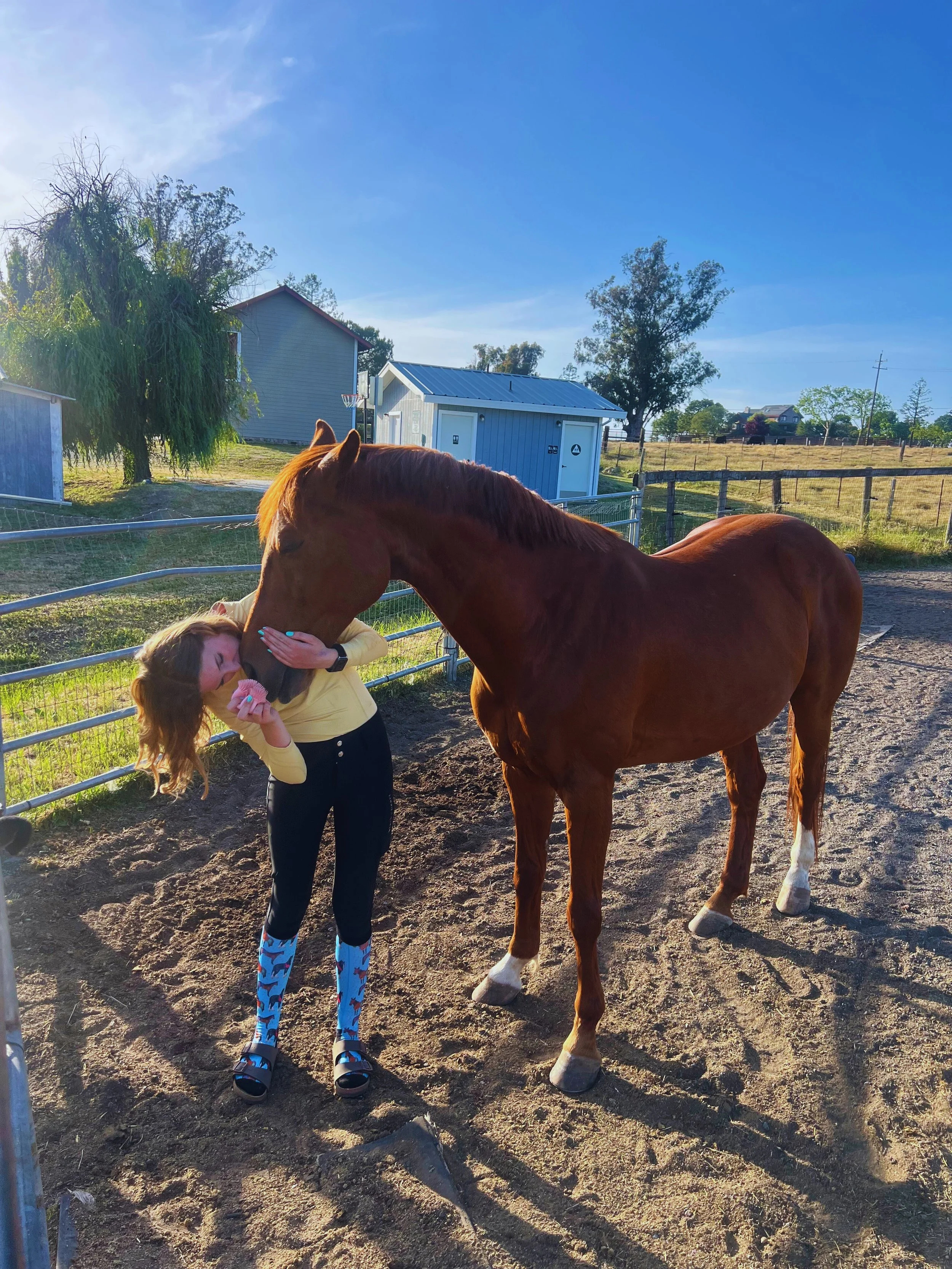 Outdoor Activities Near Me: Why Horseback Riding Is the Adventure You Didn’t Know You Needed in Petaluma & Santa Rosa