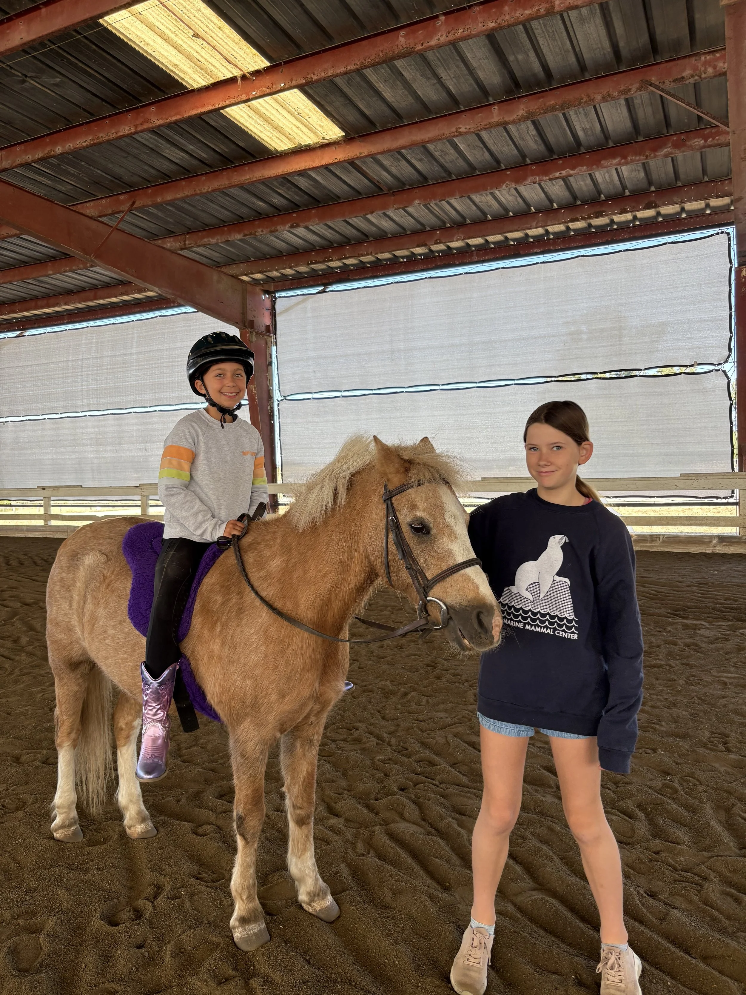 Explore Nature Connection Activities at Strides Riding Academy