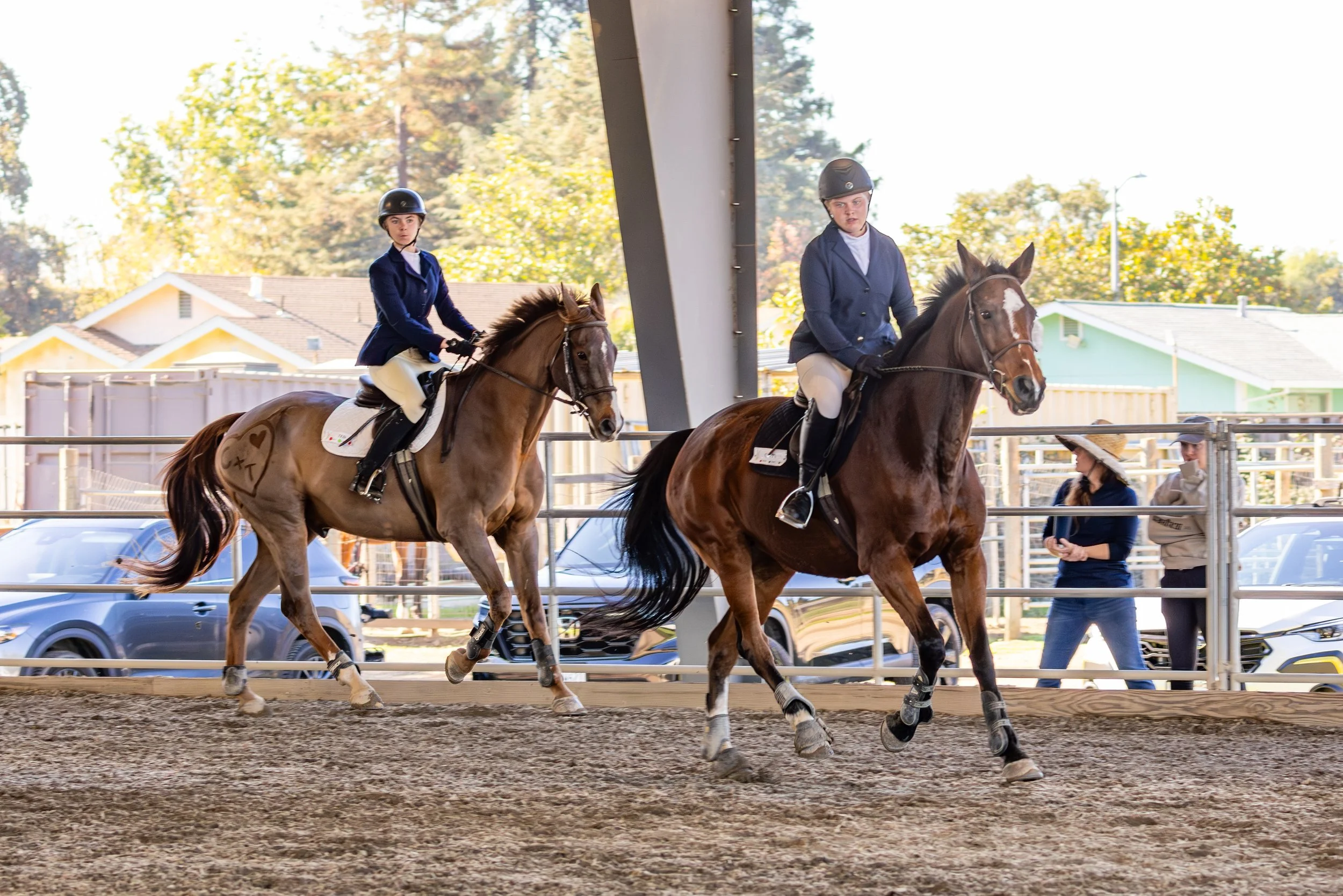 Horse Show Gear Guide: Essential Equipment for a Confident Performance