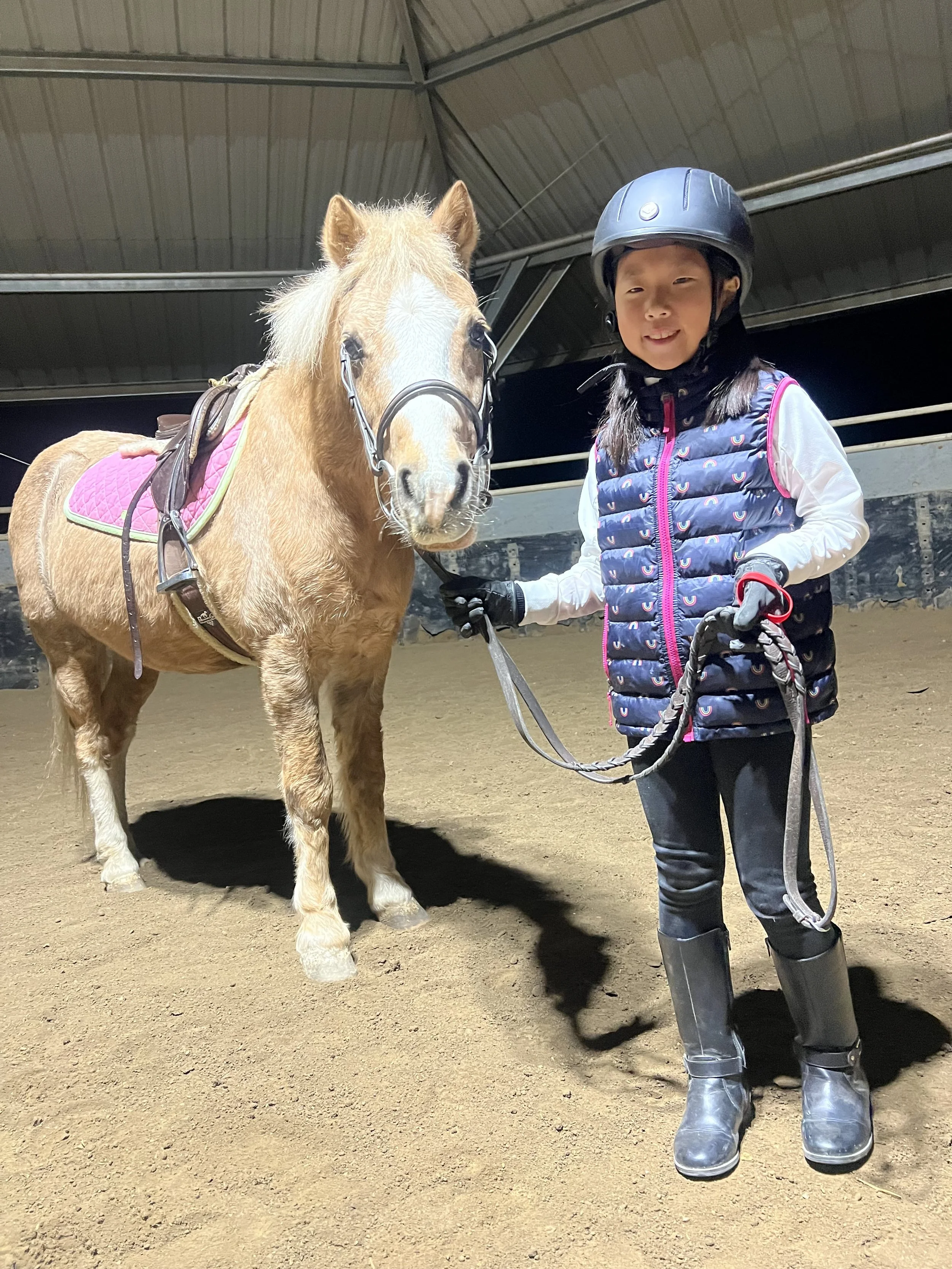 Family-Friendly Horse Activities Near Santa Rosa