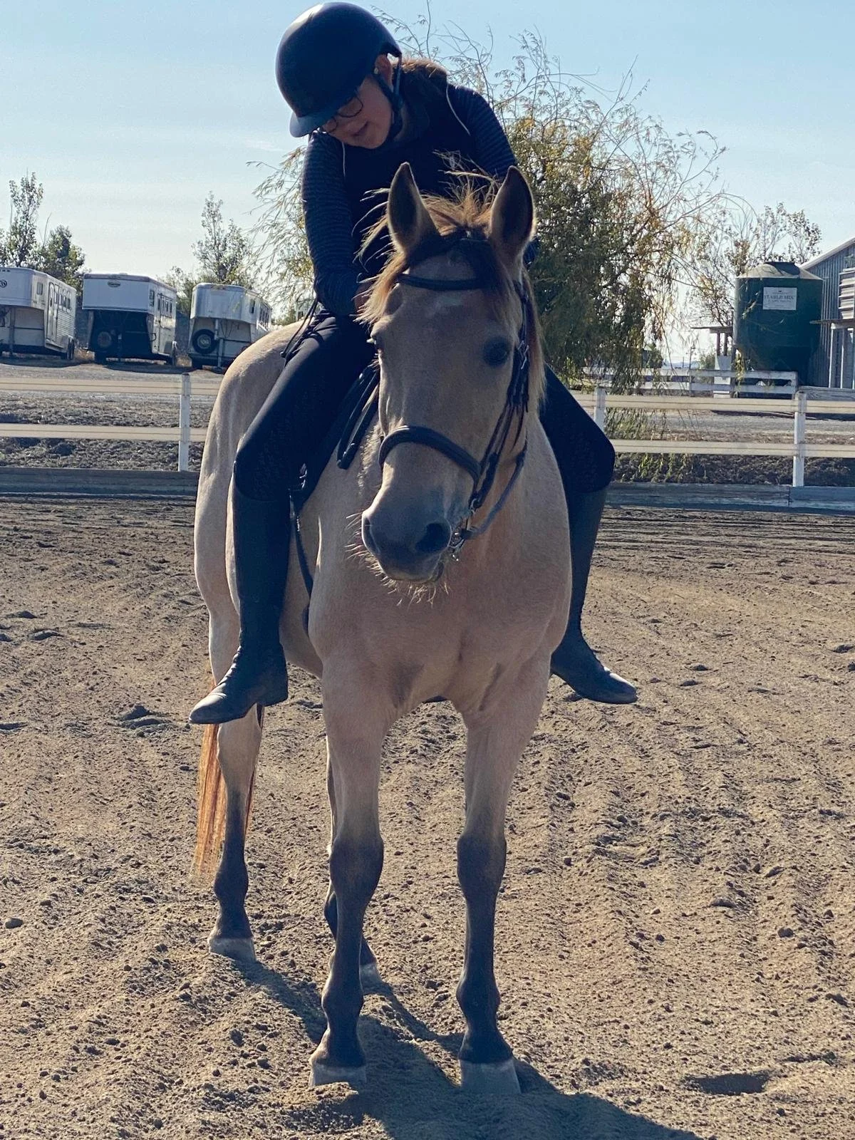 What Age Can Children Start Horseback Riding? An Honest Answer From 18 Years at the Barn