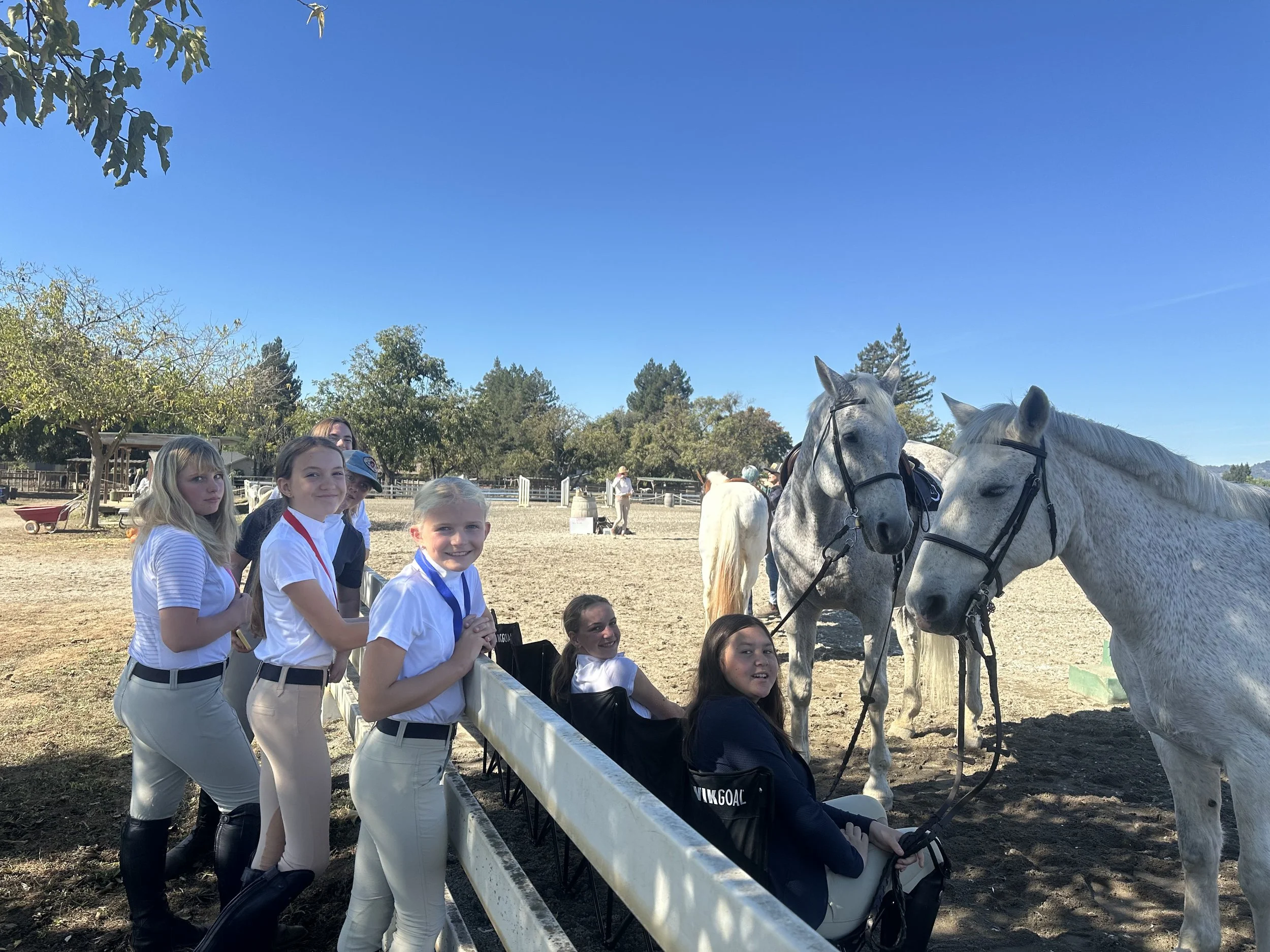 A group of young Strides students smiling and posing with horses in a sunny outdoor setting, showcasing their joy and connection with the animals.