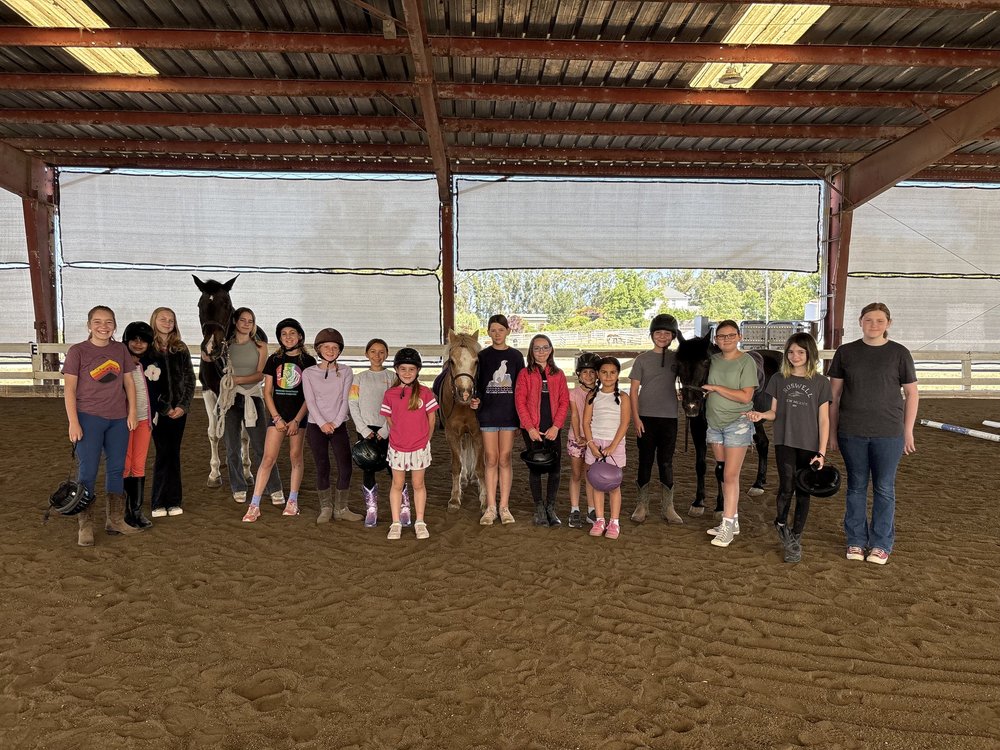 Stampede Run What 18 Years of Summer Camp in Sonoma County Taught Me About Kids ...