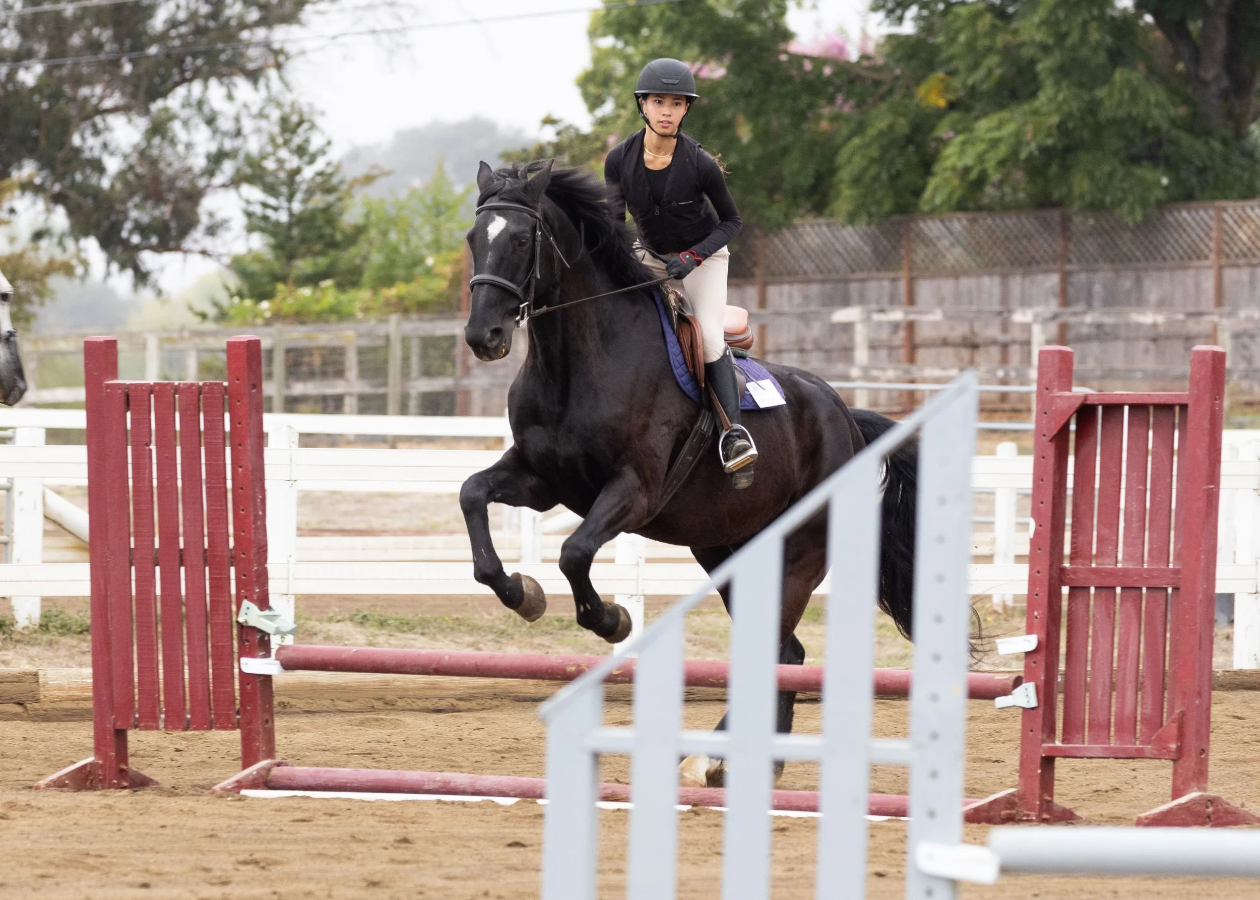 Young rider jumping a black horse during an arena lesson at Strides Riding Academy, showcasing confidence, horsemanship, and Legacy Program training.