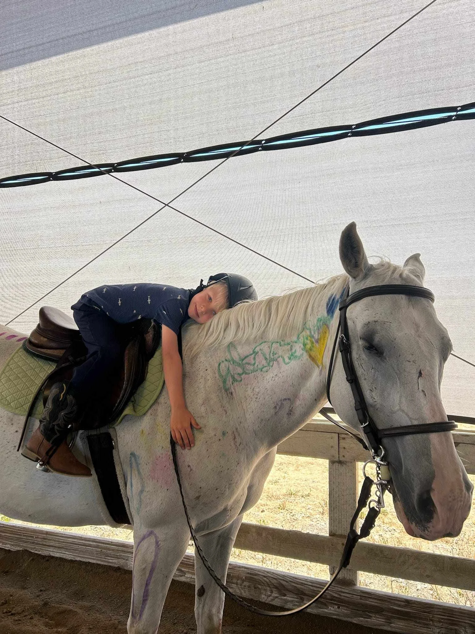 Summer riding camp at Strides Riding Academy in Sonoma County.