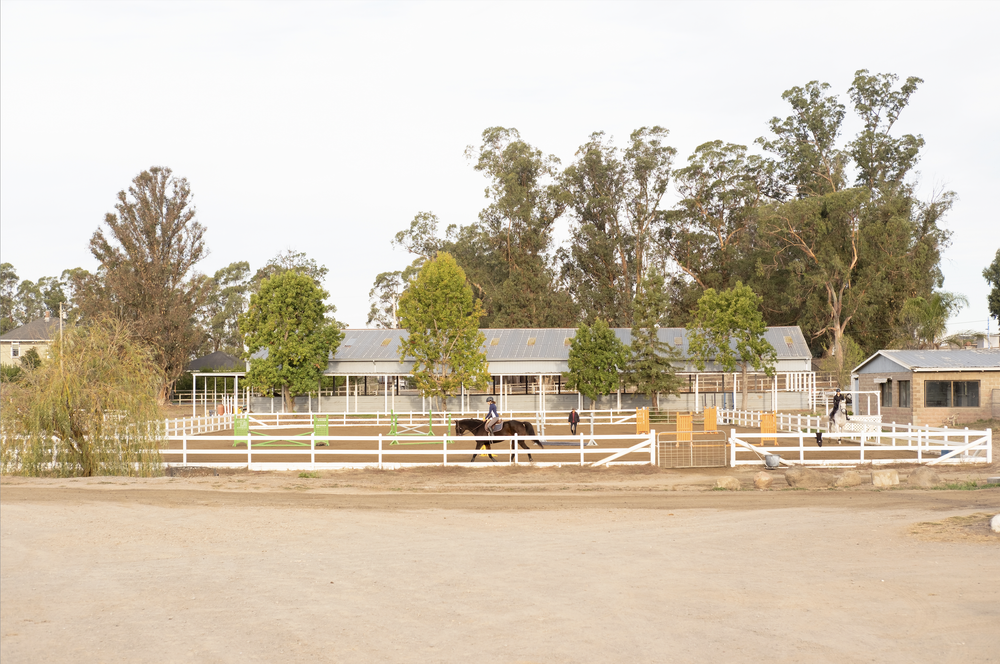 Select Riding Academy Home - Strides Riding Academy | Horseback Riding Lessons for Kids & Adults
