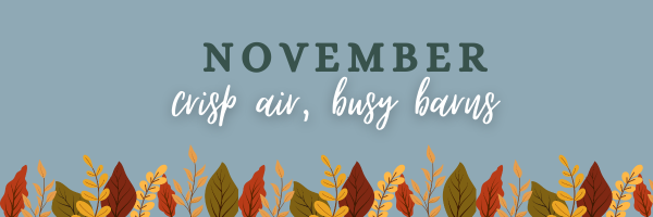 November newsletter header graphic with fall leaves and the text “November – crisp air, busy barns” for Strides Riding Academy