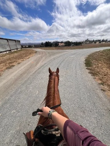 First-person view of a rider on a chestnut horse walking along a gravel path under a partly cloudy sky, capturing a calm and scenic riding moment at Strides Riding Academy.