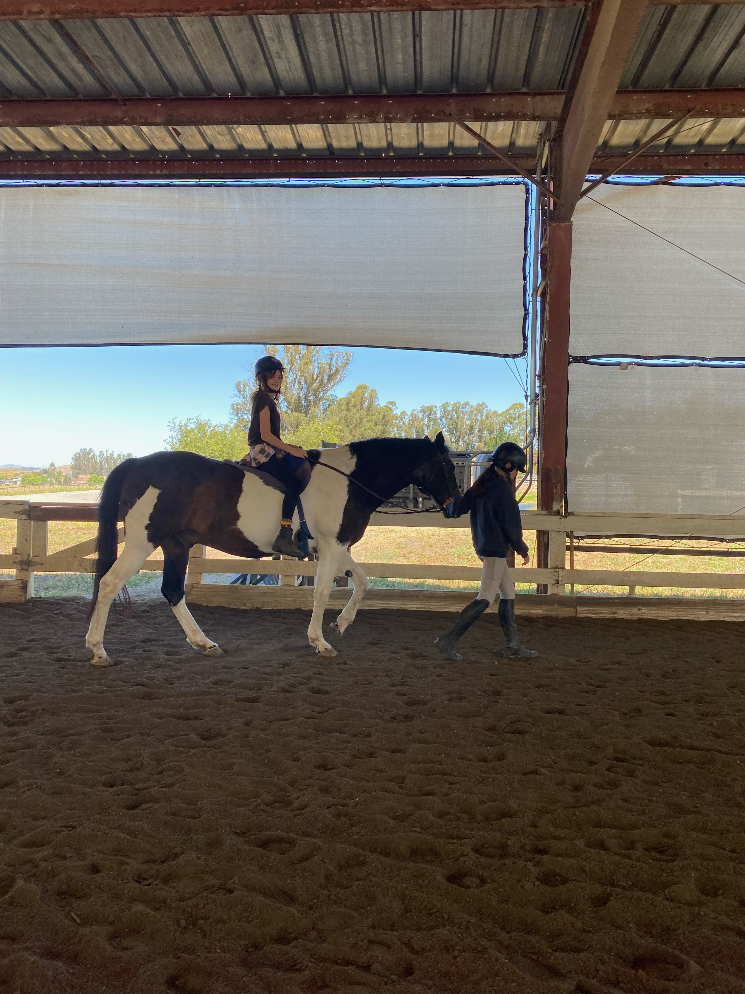 Young rider learning horseback riding and horsemanship with a horse at Strides Riding Academy in Petaluma