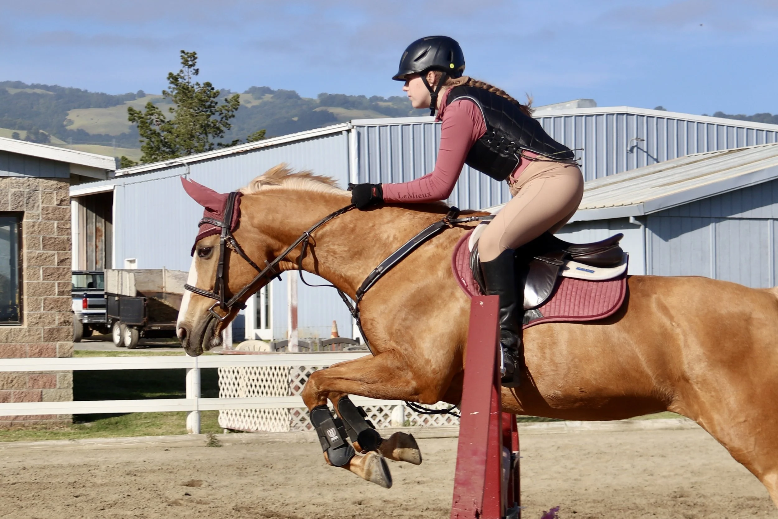 Rider jumping a chestnut horse over a fence during a riding lesson at a Santa Rosa equestrian facility