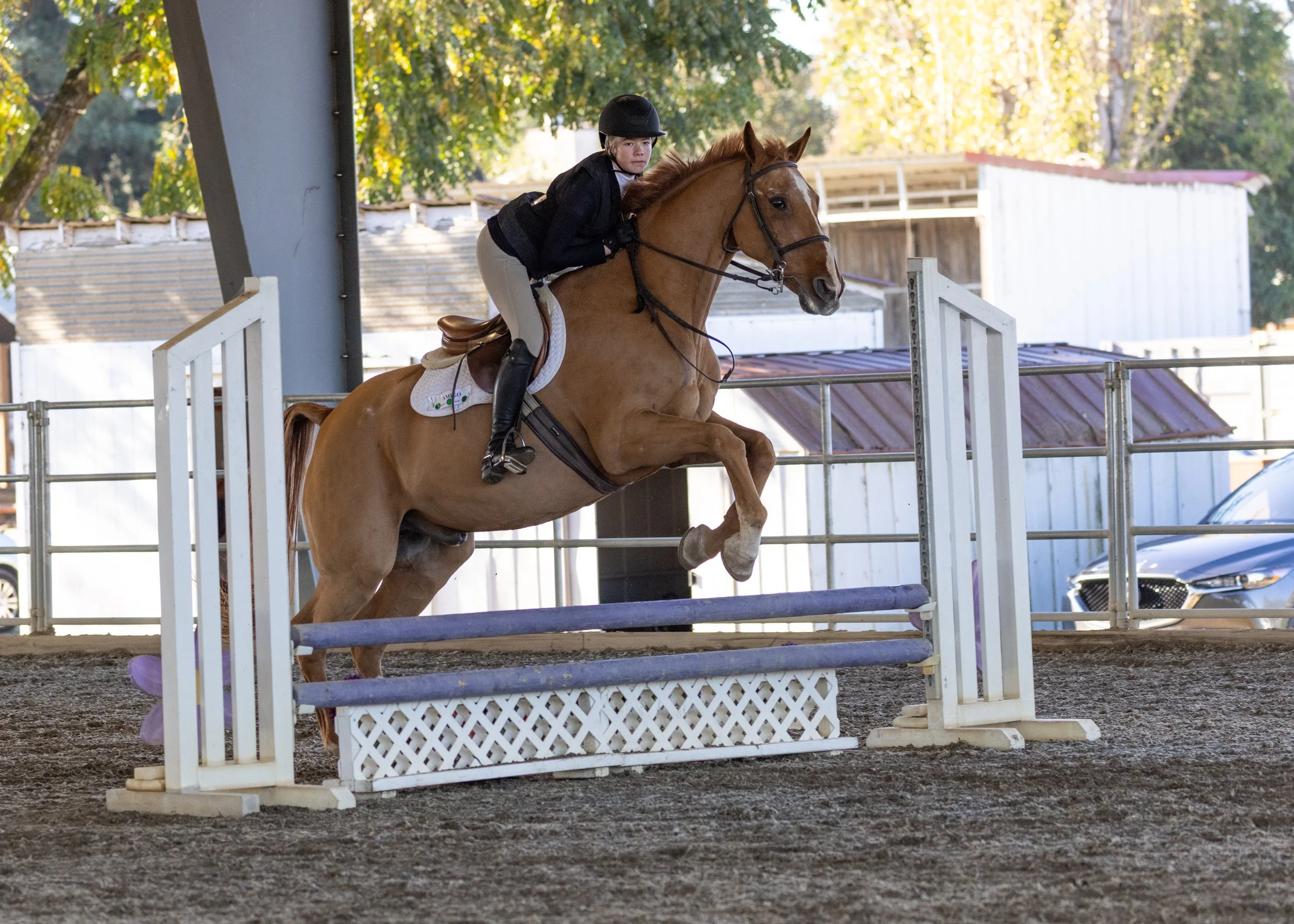 Young rider in black helmet and jacket jumping a chestnut horse over a show jump obstacle during a horseback riding lesson at Strides Riding Academy in Sonoma