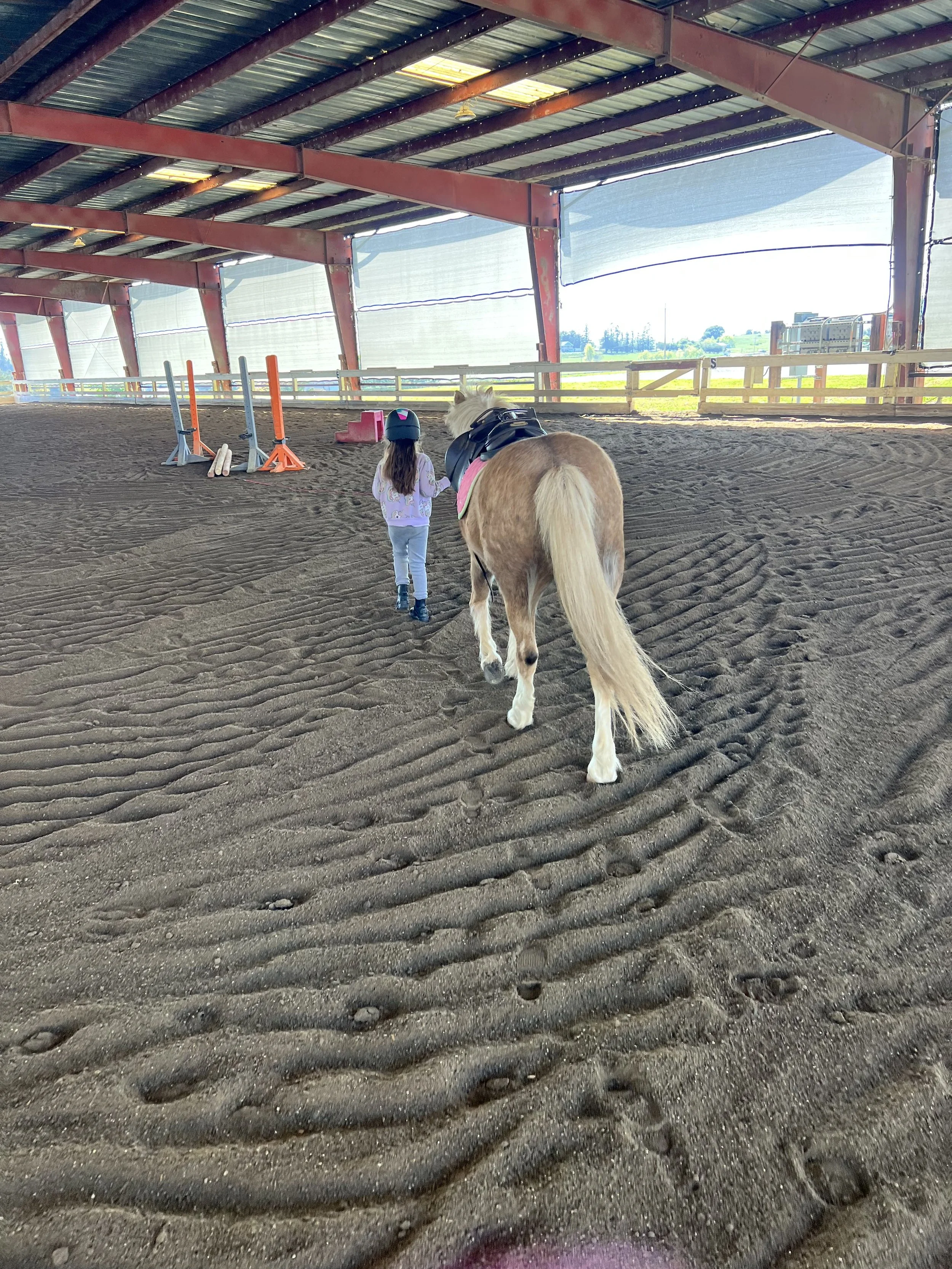 Young rider leading a pony in the covered arena at Strides Riding Academy during a riding lesson.