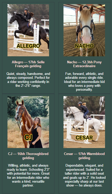 Four available lease horses at Strides Riding Academy including Allegro, Nacho, CJ, and Cesar shown in riding and portrait photos