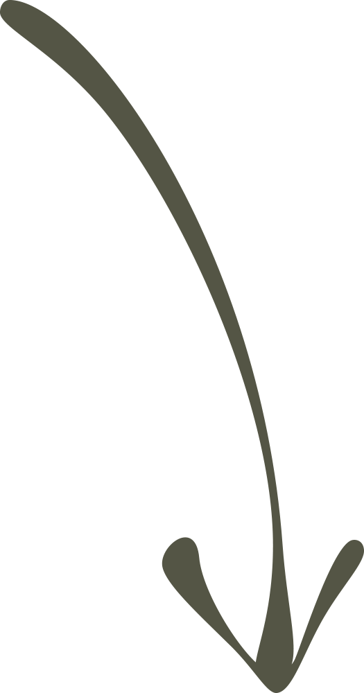 A simple graphic design of a curved line with two small leaf shapes at the ends.