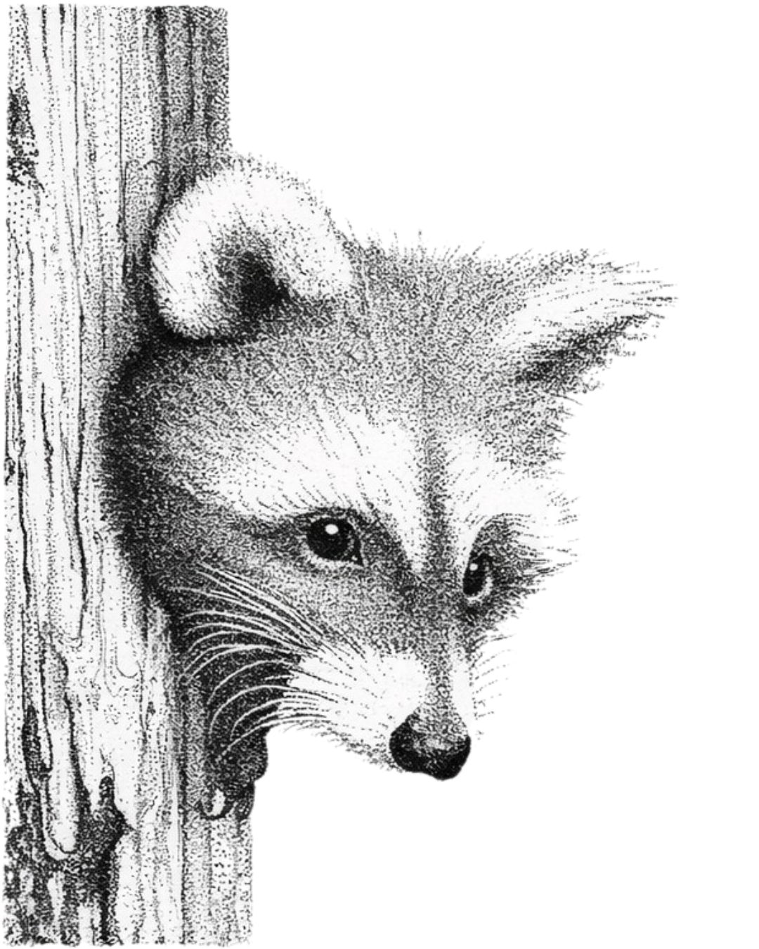 The Art of Stippling
