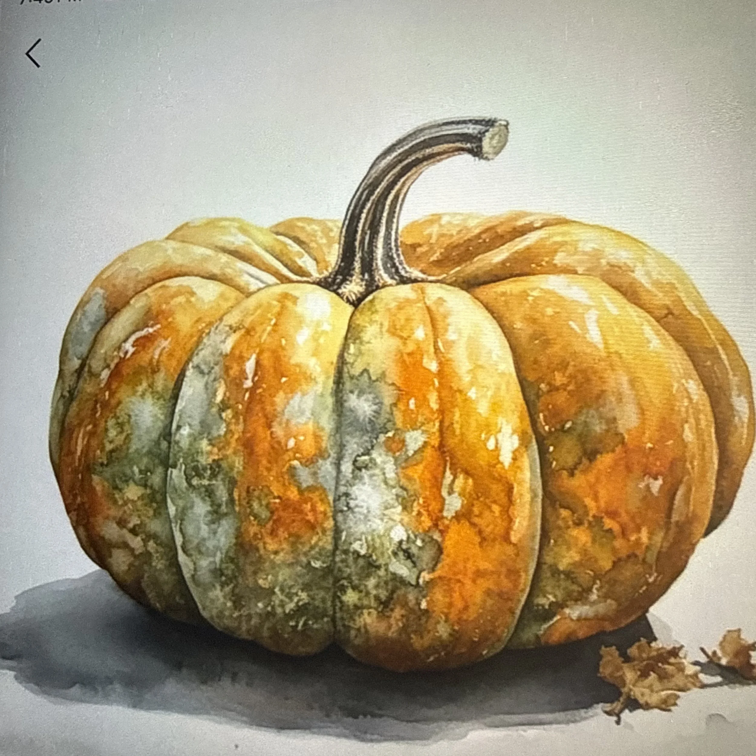 Watercolor Gourds