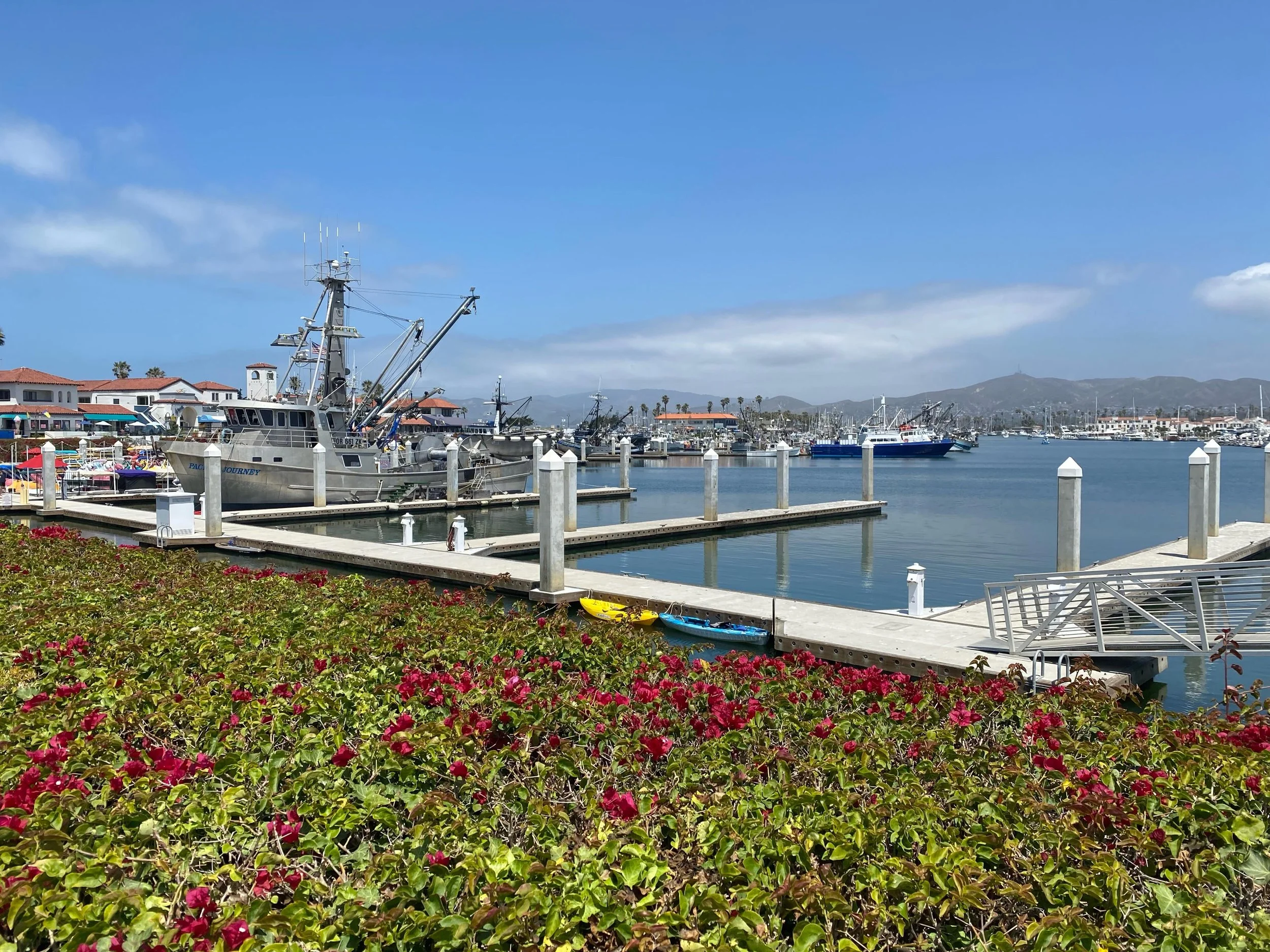 It&rsquo;s a beautiful day here at Andria&rsquo;s! #chowderbythesea