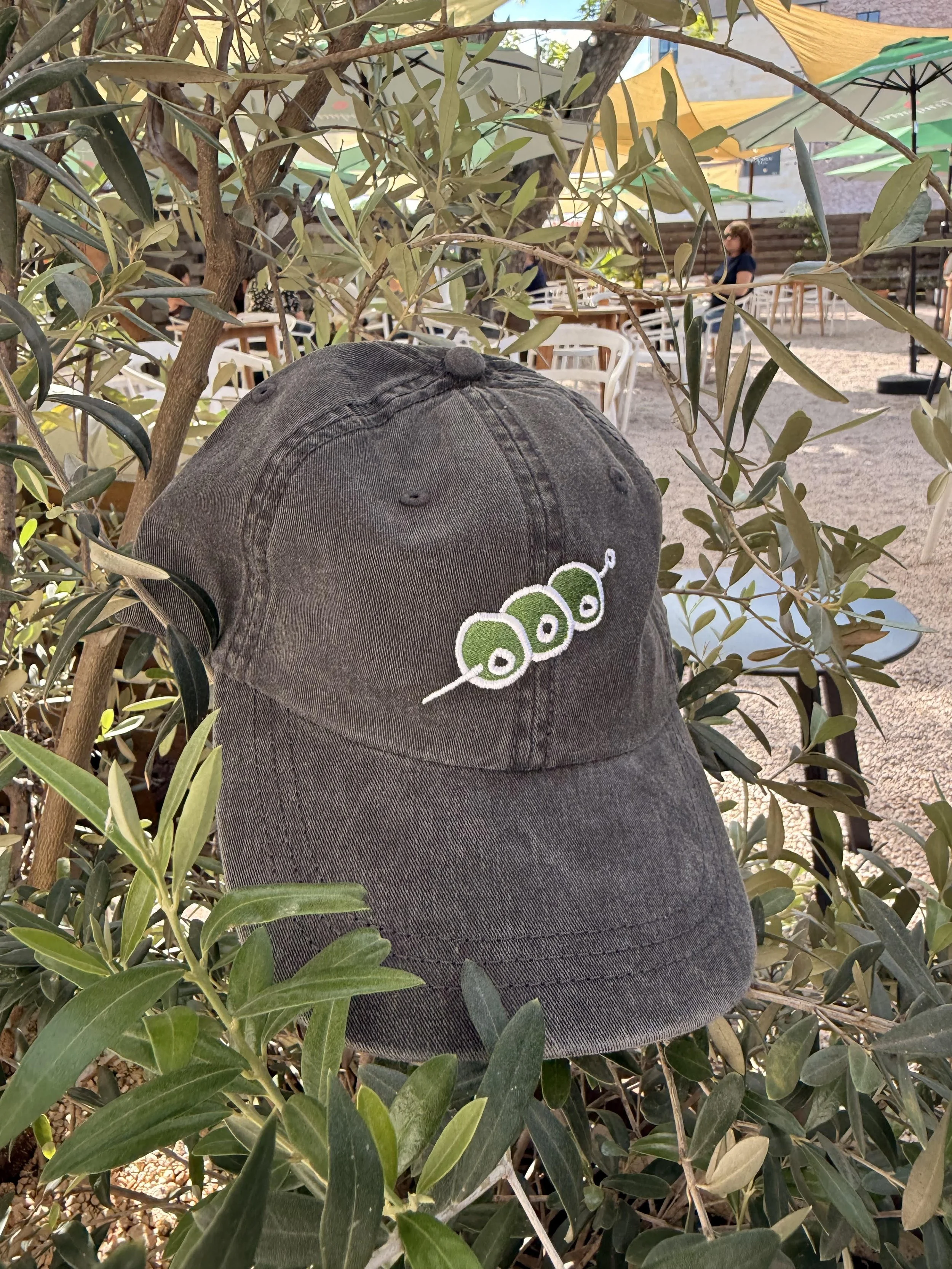 olivehatfront.jpeg