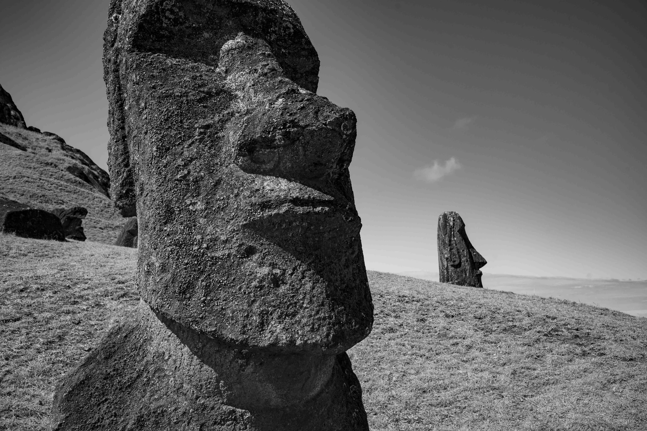 L1002499.jpg