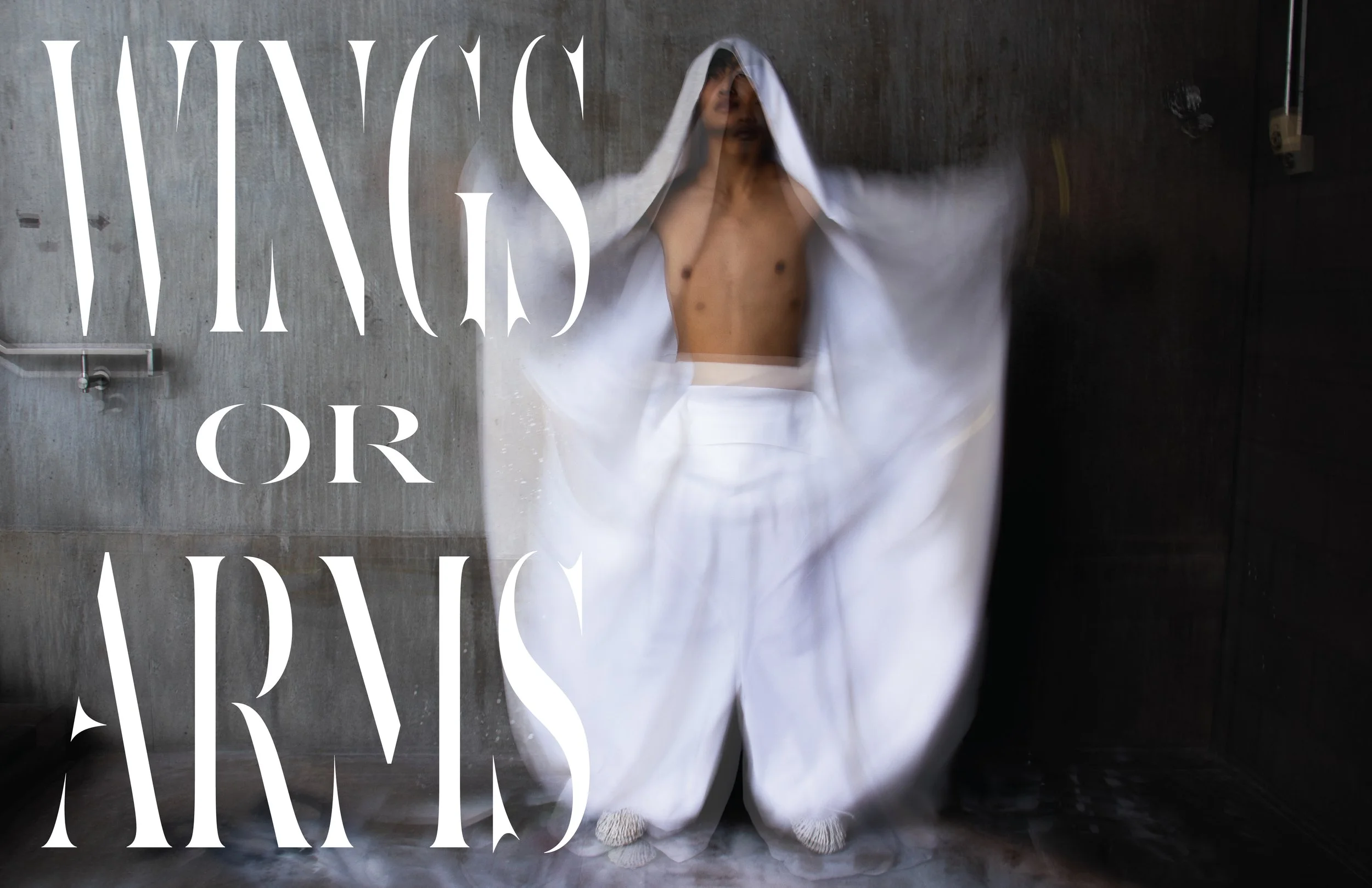 Wings or Arms Portfolio-01.jpg
