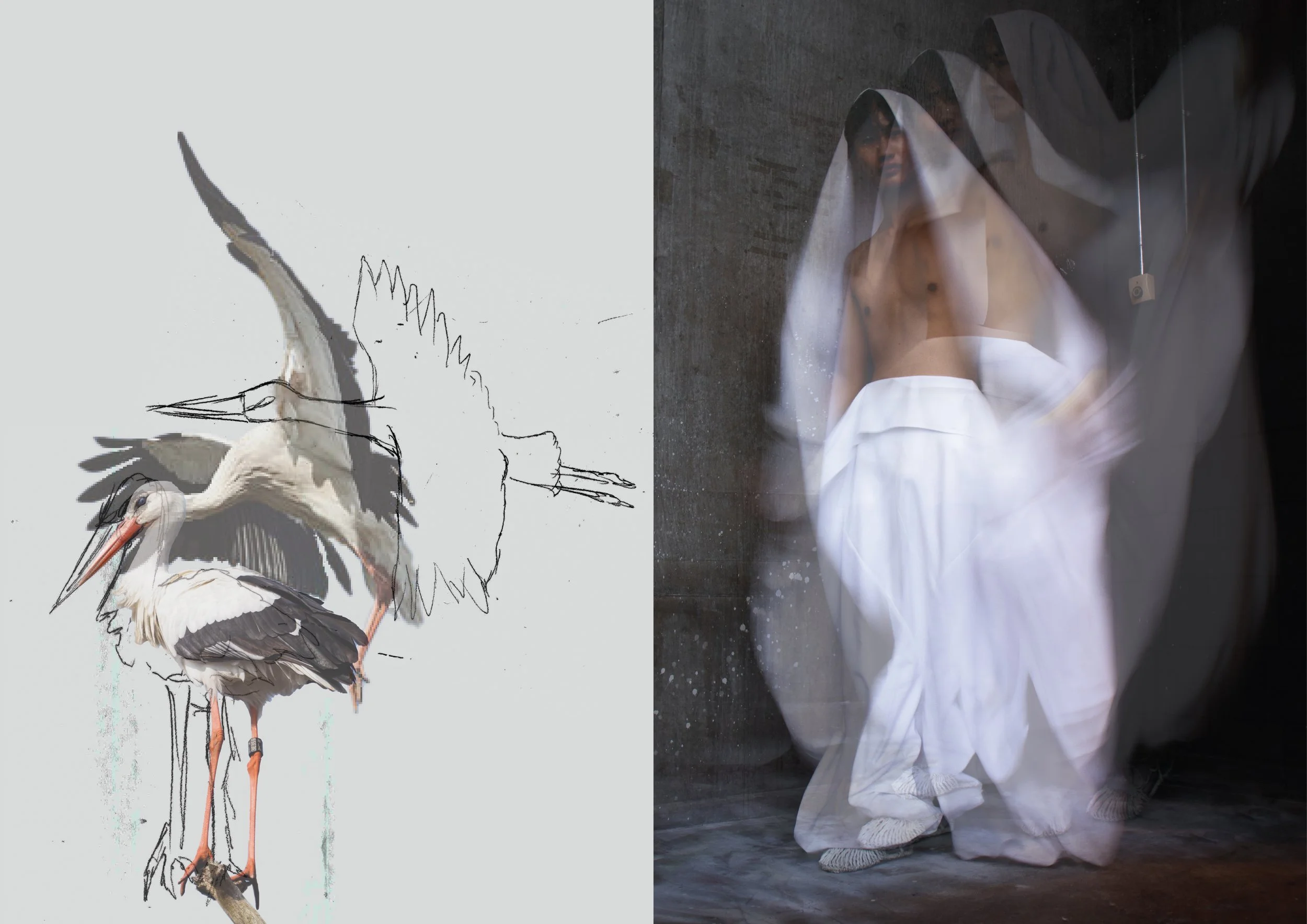 Reset Show Final Photos (Portfolio)-06.jpg