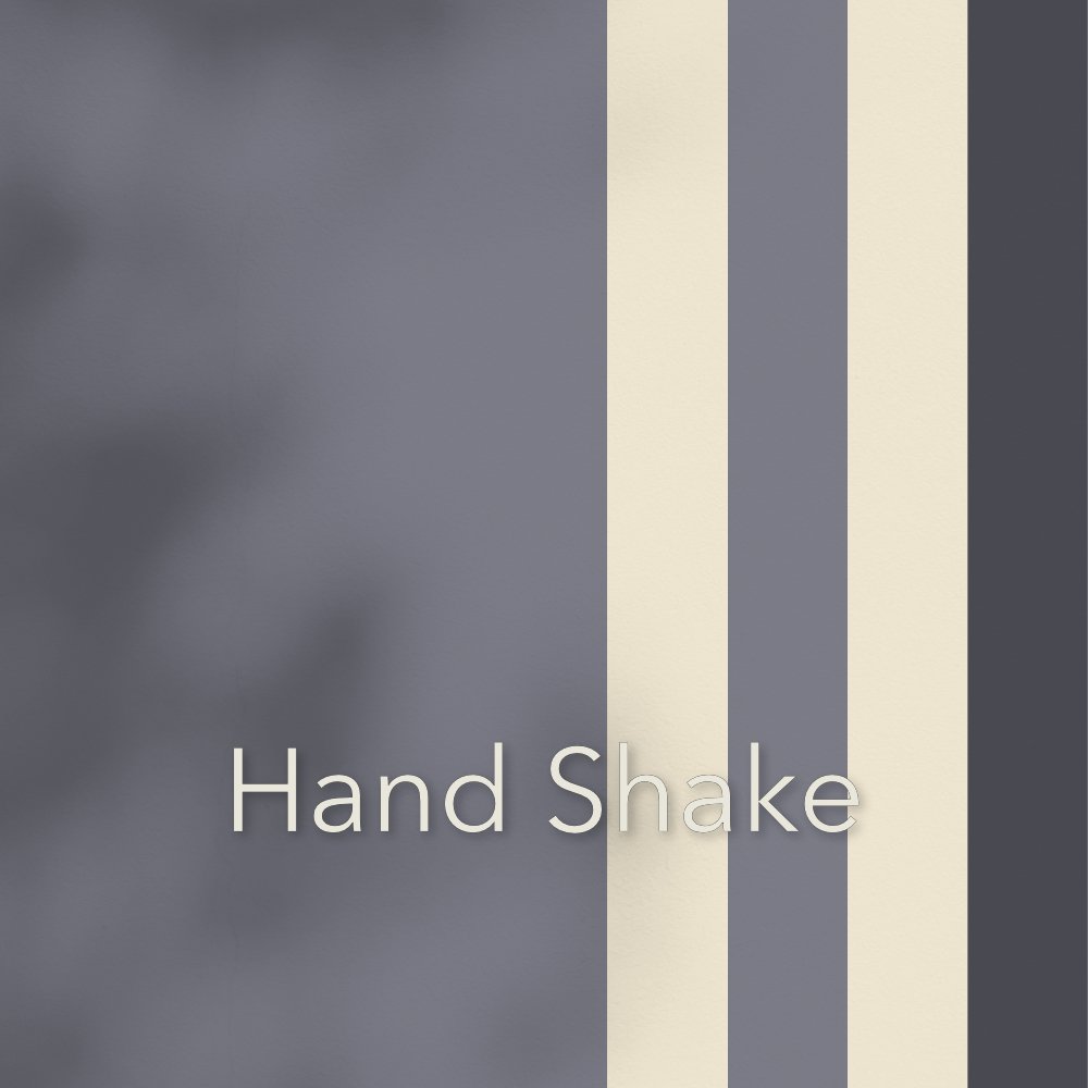 ~HandShake-SeaLife.CameoWhite.EbonySlate.jpg
