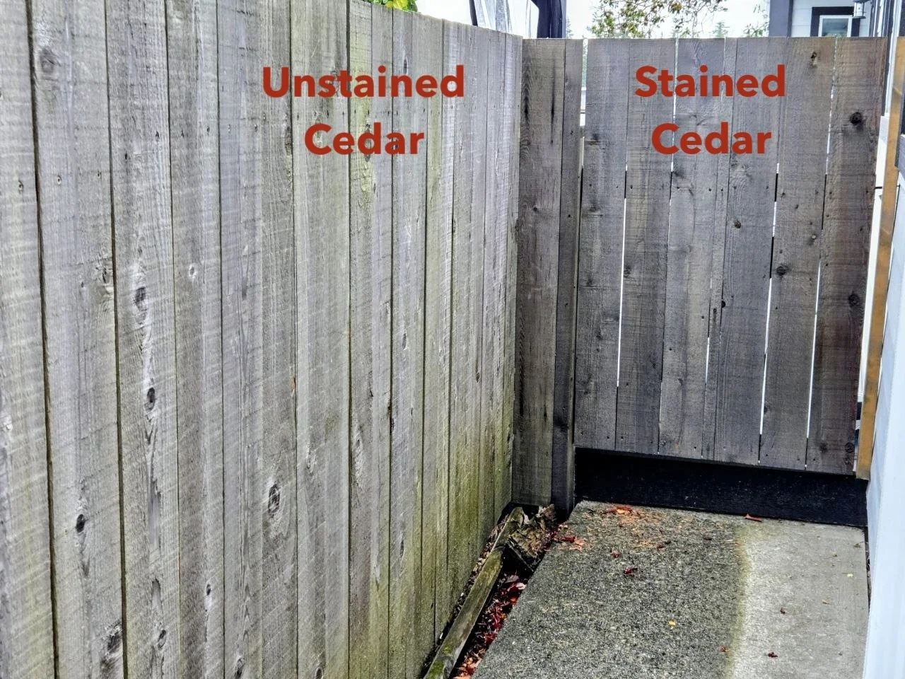 photo_2026-02-21 08.07.56.jpeg