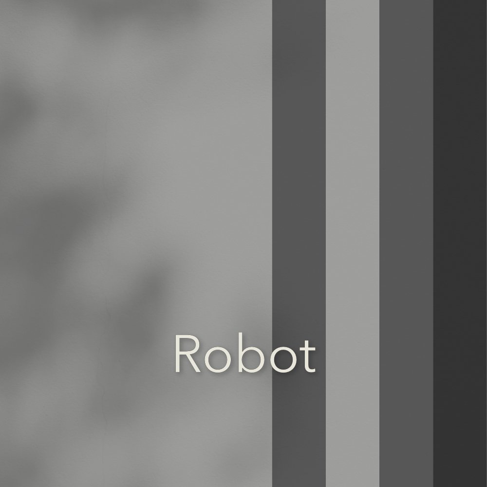 ~Robot-Storm.Gray.Onyx.jpg