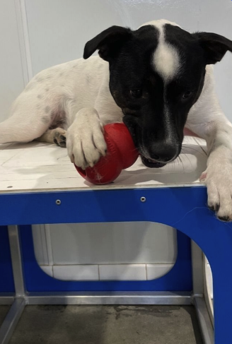 Screen Shot 2022-11-13 at 5.19.06 PM.png