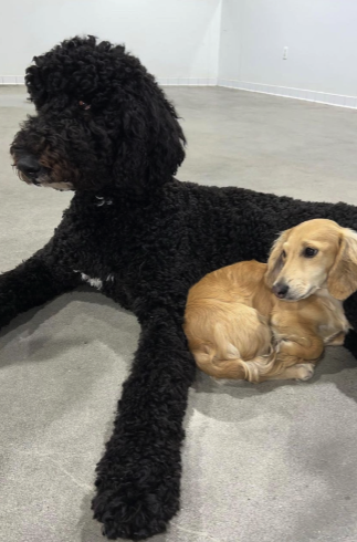 Screen Shot 2022-11-13 at 5.20.31 PM.png