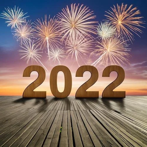 Firefly 2022 with fireworks 92959.jpg