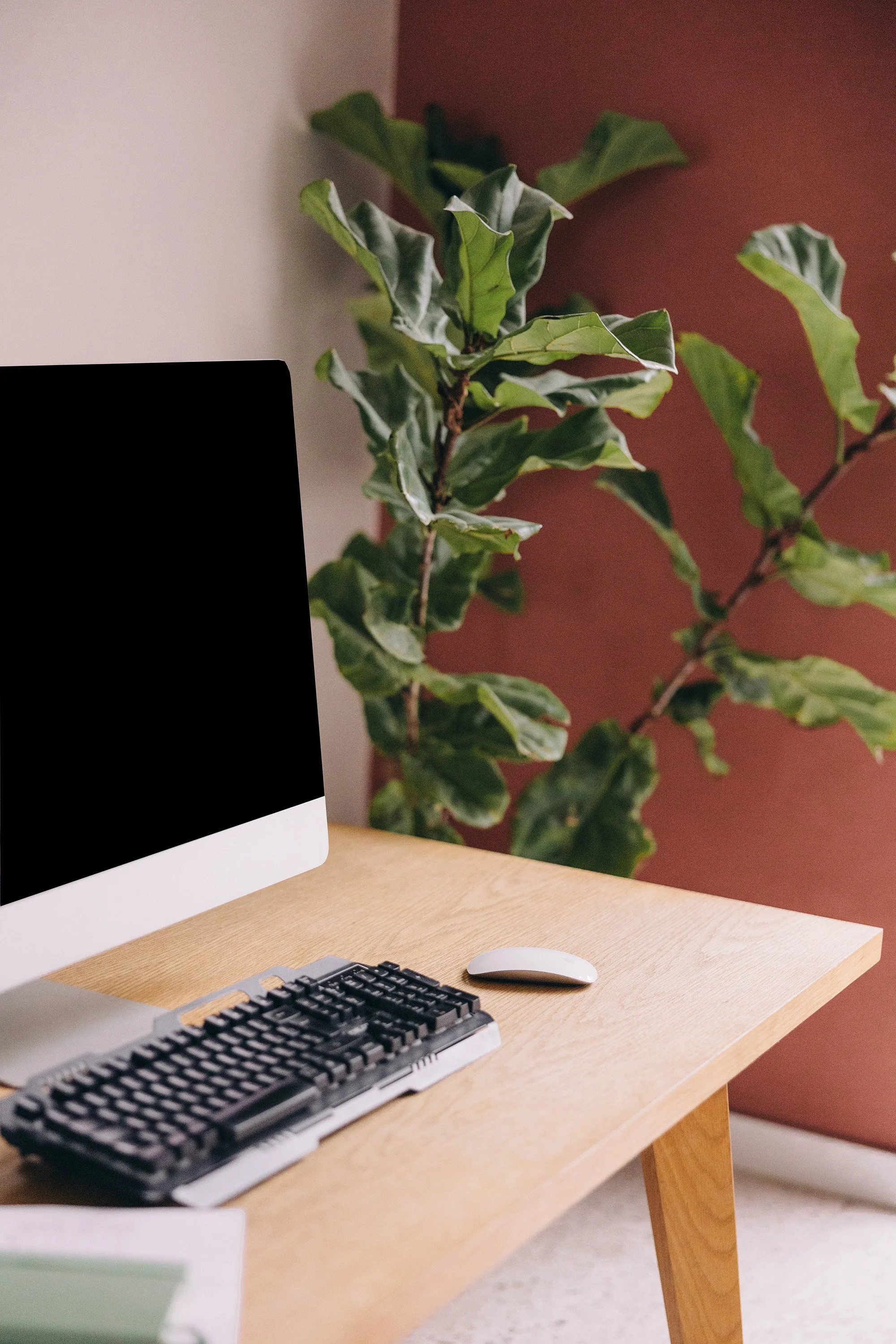 A computer desk with a keyboard, mouse, and monitor, with a green leafy plant in the background.