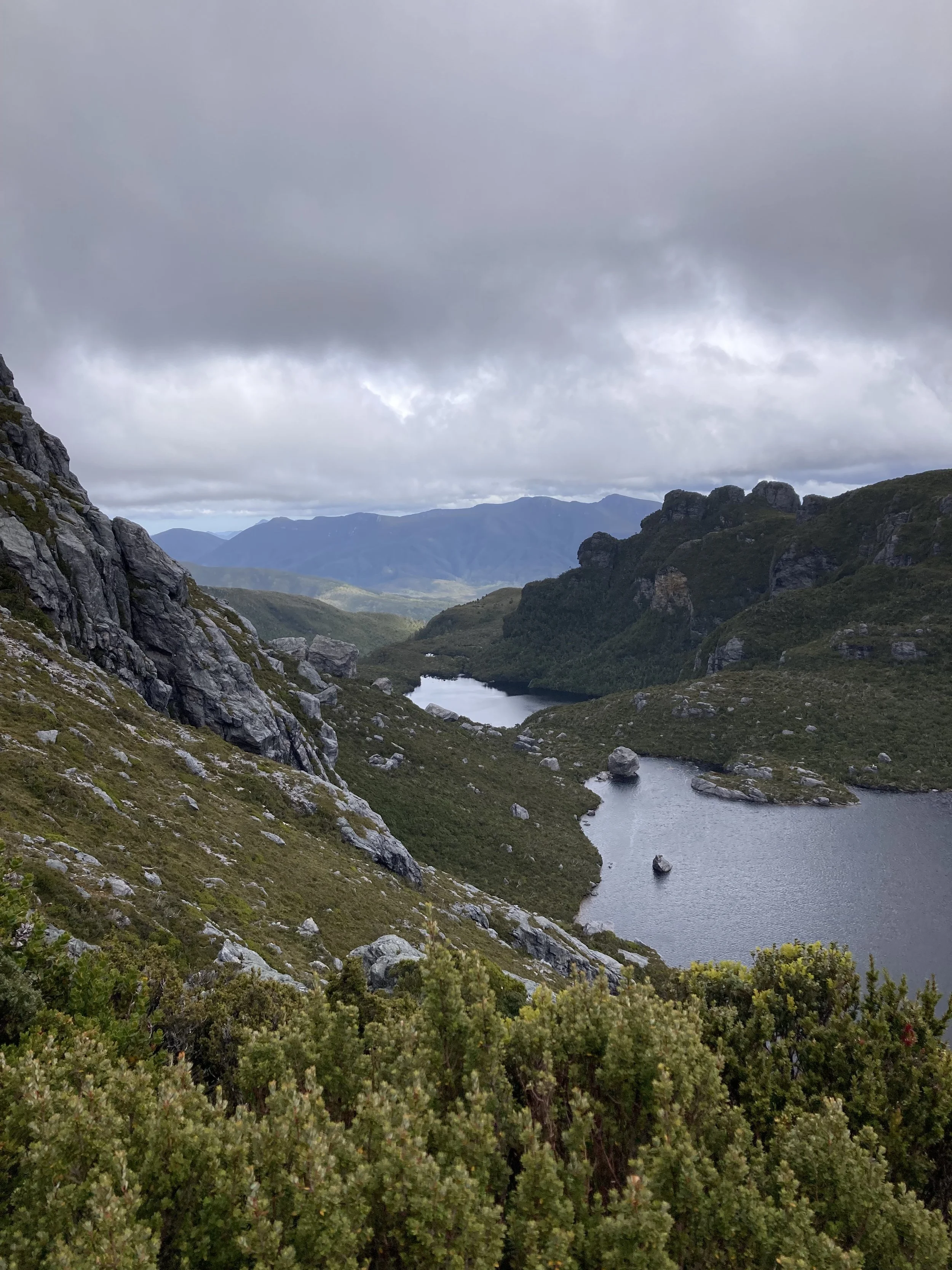 A Guest on the Earth