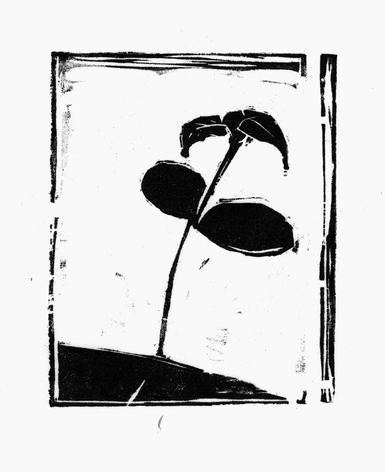  Garden Seedling 