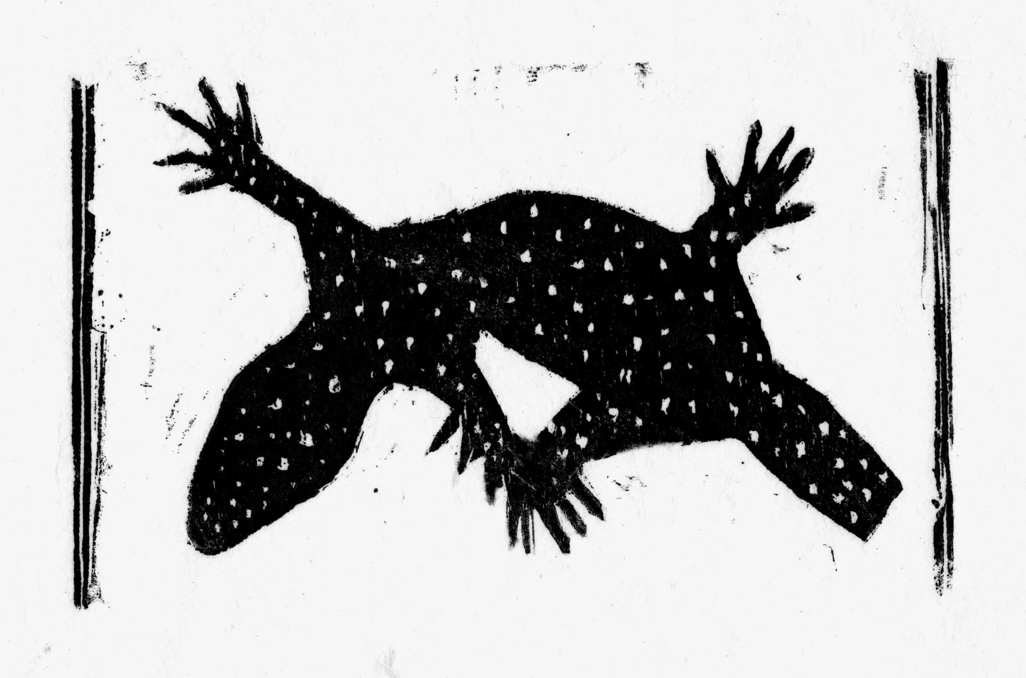 Gecko Without a Tail