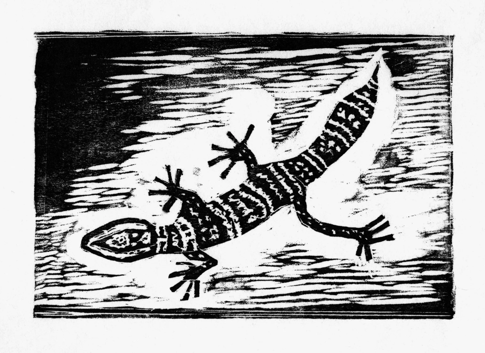 A Very Striking Lizard 