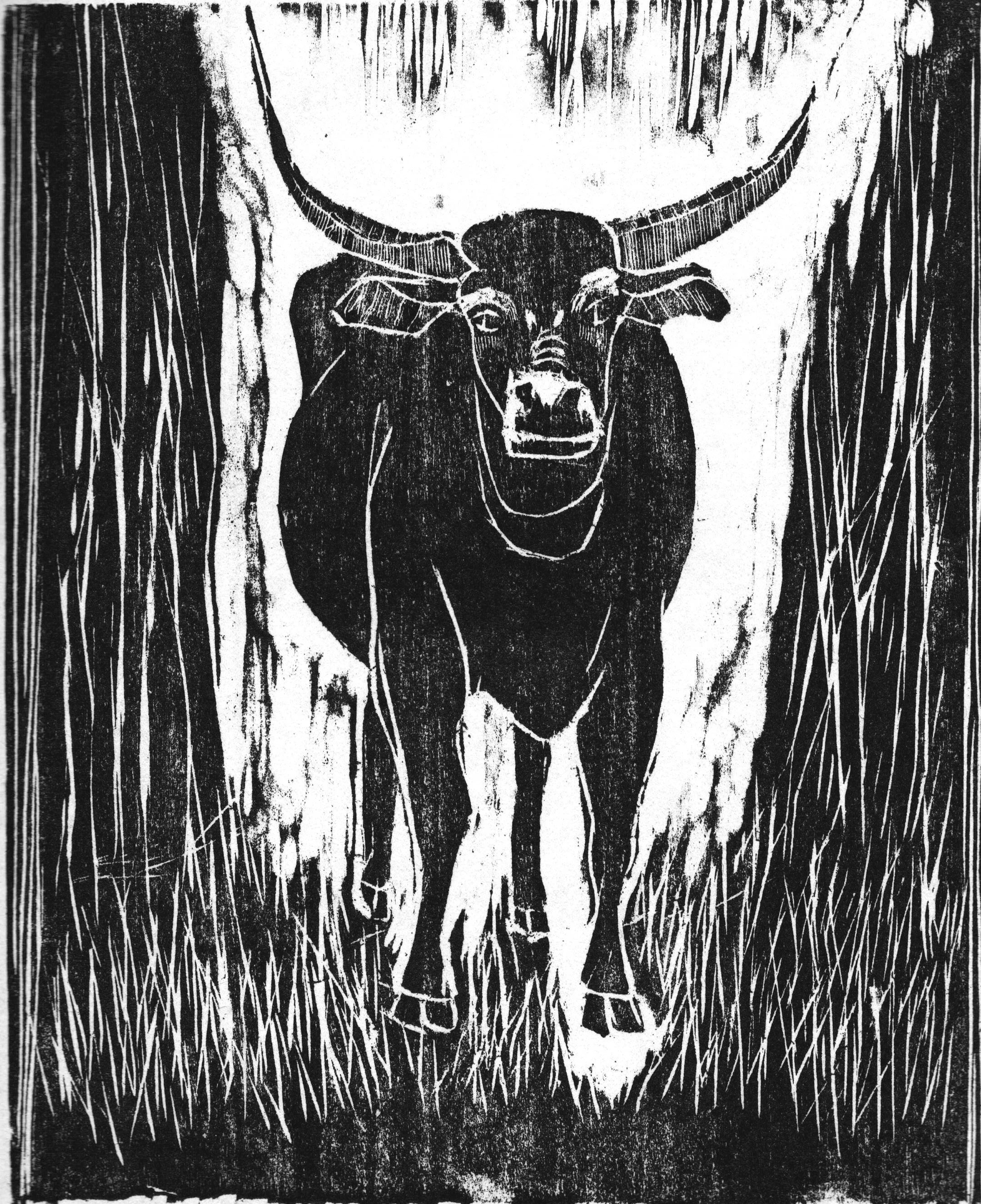 Water Buffalo 
