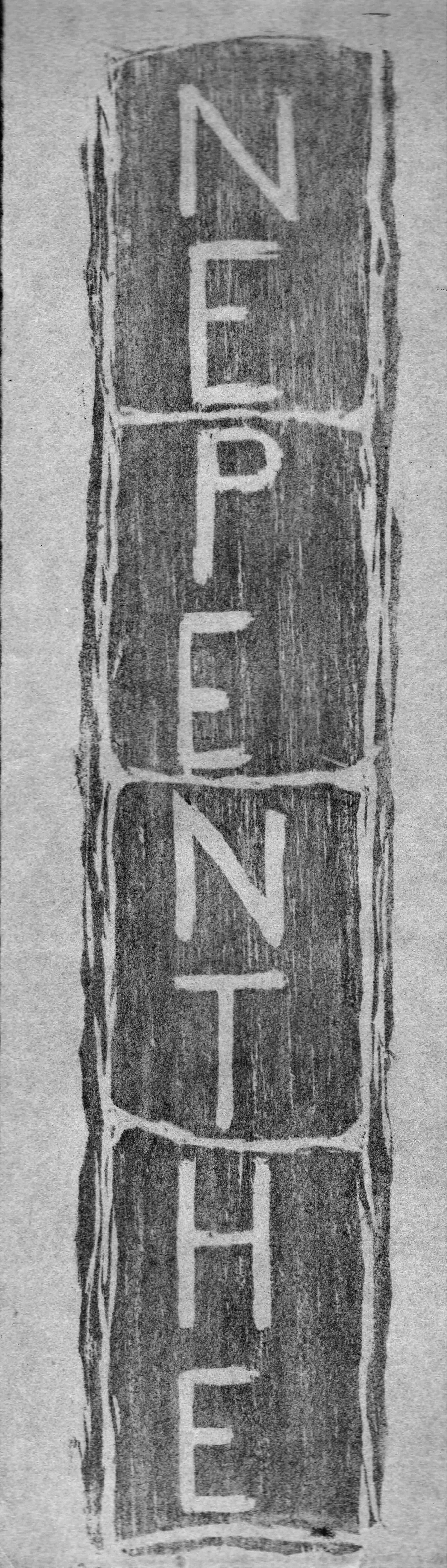 Nepenthe 