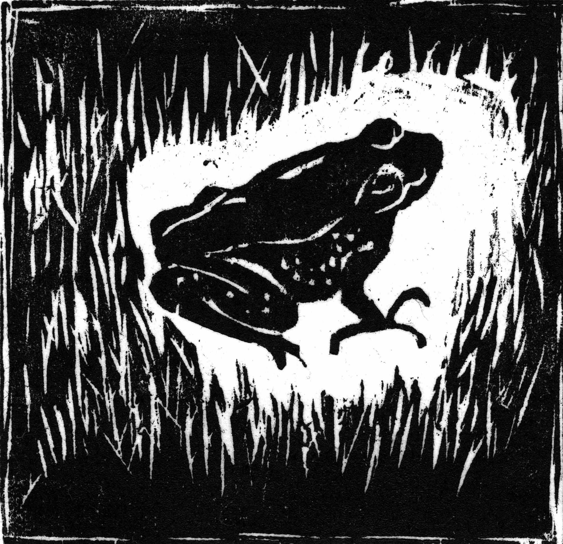 Small Frog