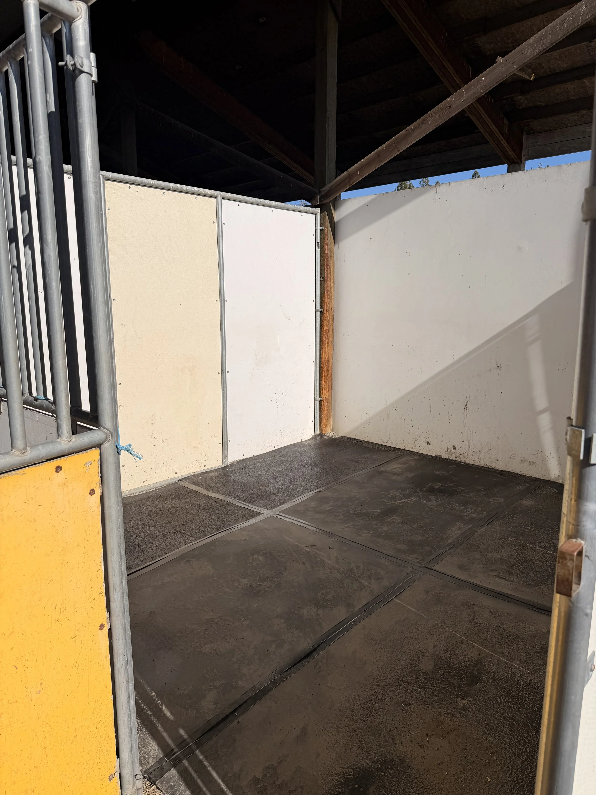 Recently Saved - 5 of 14.jpeg