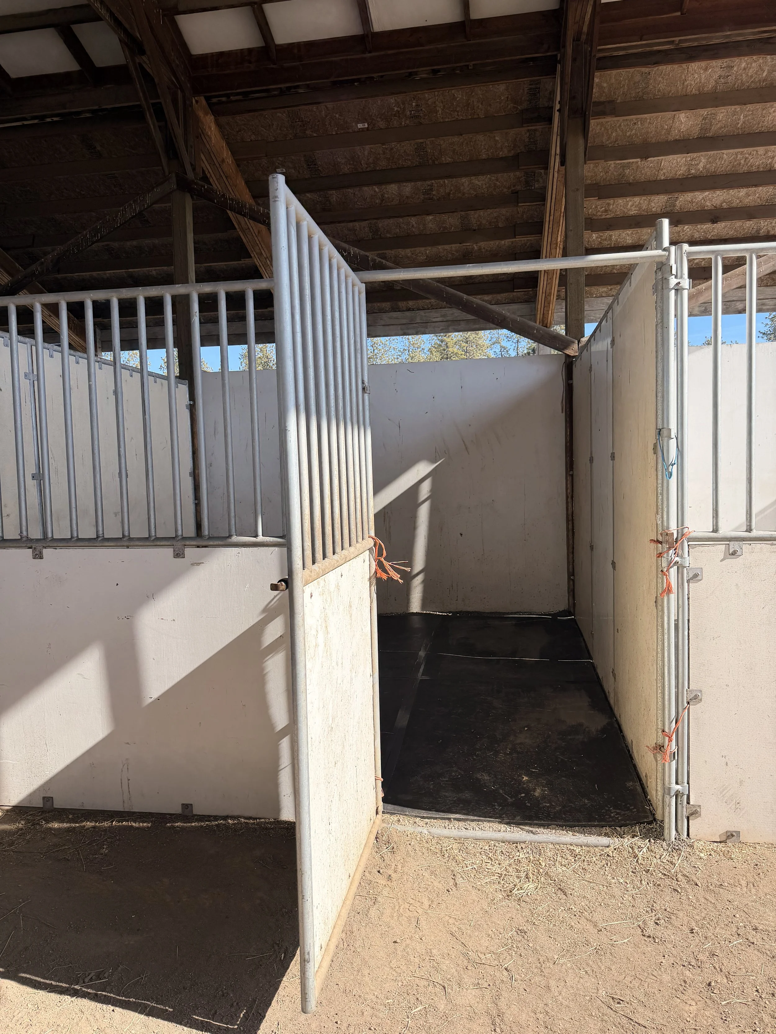 Recently Saved - 4 of 14.jpeg