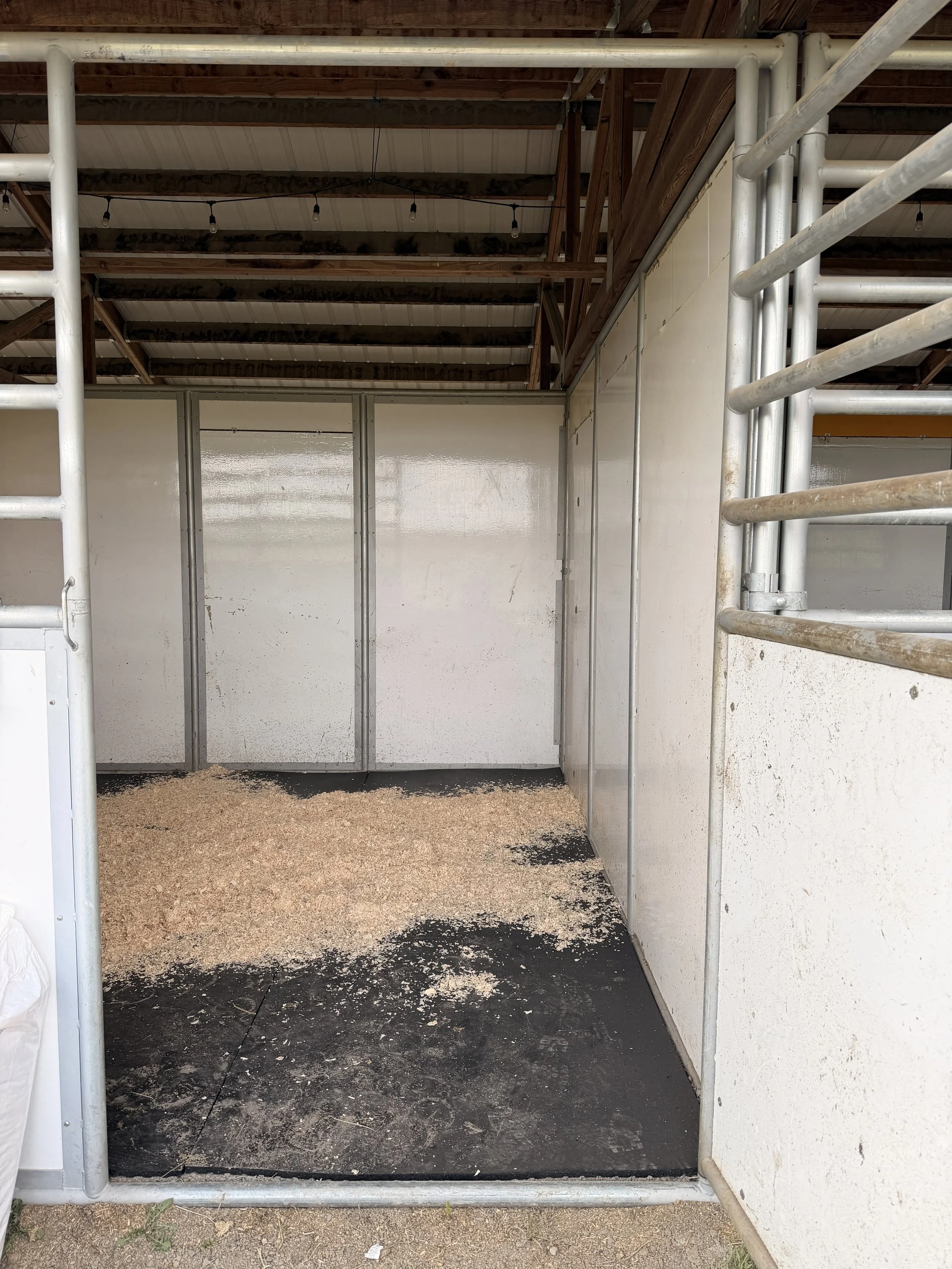 Recently Saved - 6 of 14.jpeg